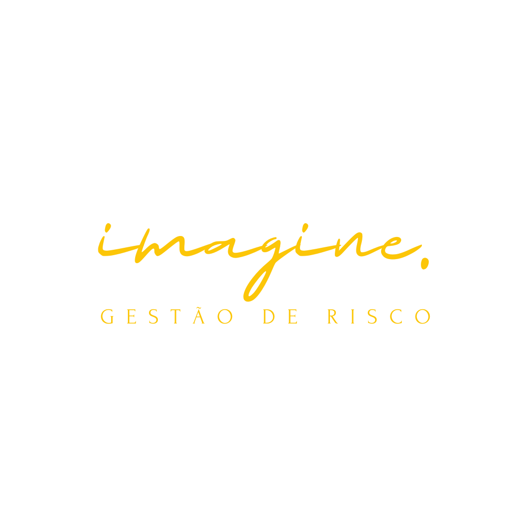 Imagine - Gestão de Risco